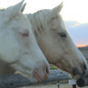 Meet your Posher, Lanie